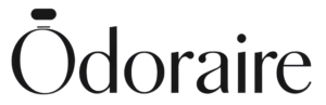 logo dreptrunghi transparent