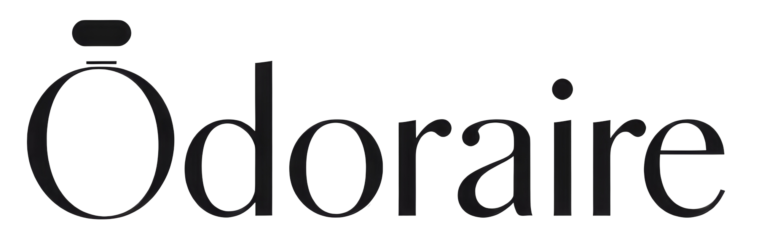 logo dreptrunghi transparent